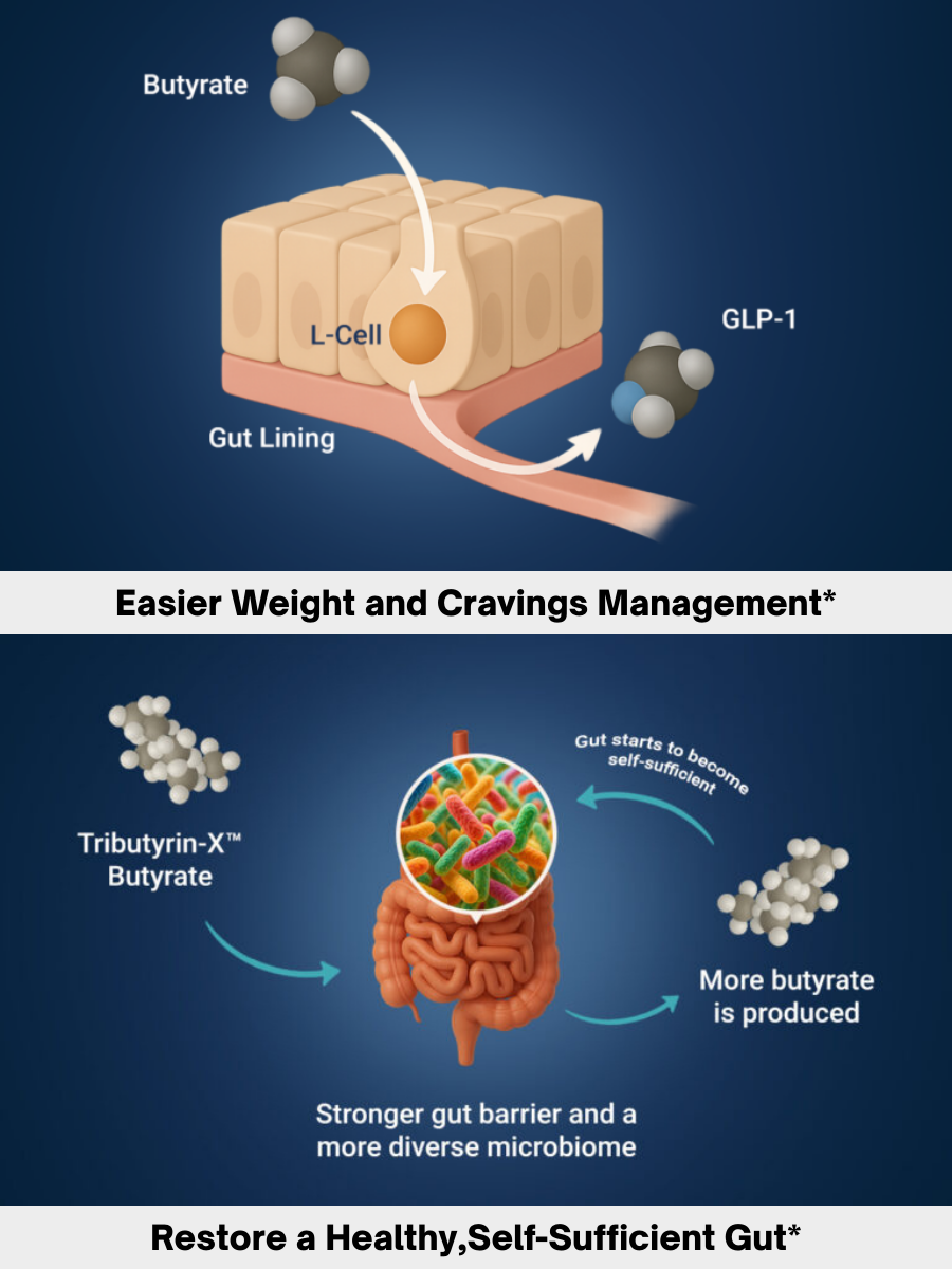 Daily Gut Reset