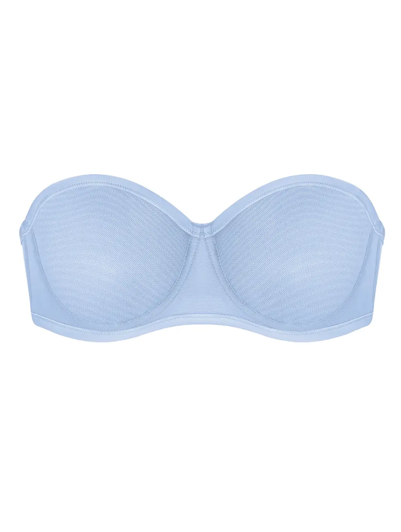 Sheer Mesh Bra