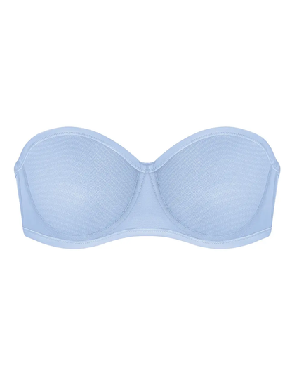 Sheer Mesh Bra